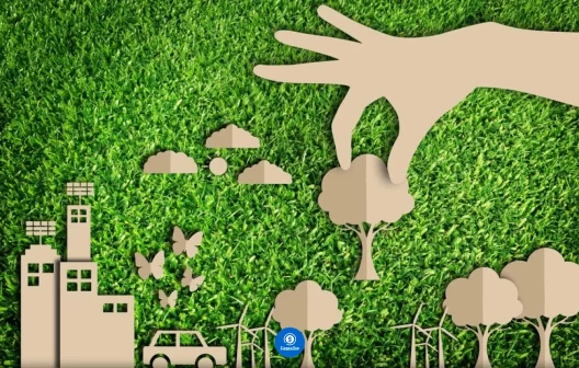 "Transforme sua vida financeira com essas 6 dicas de consumo consciente!"