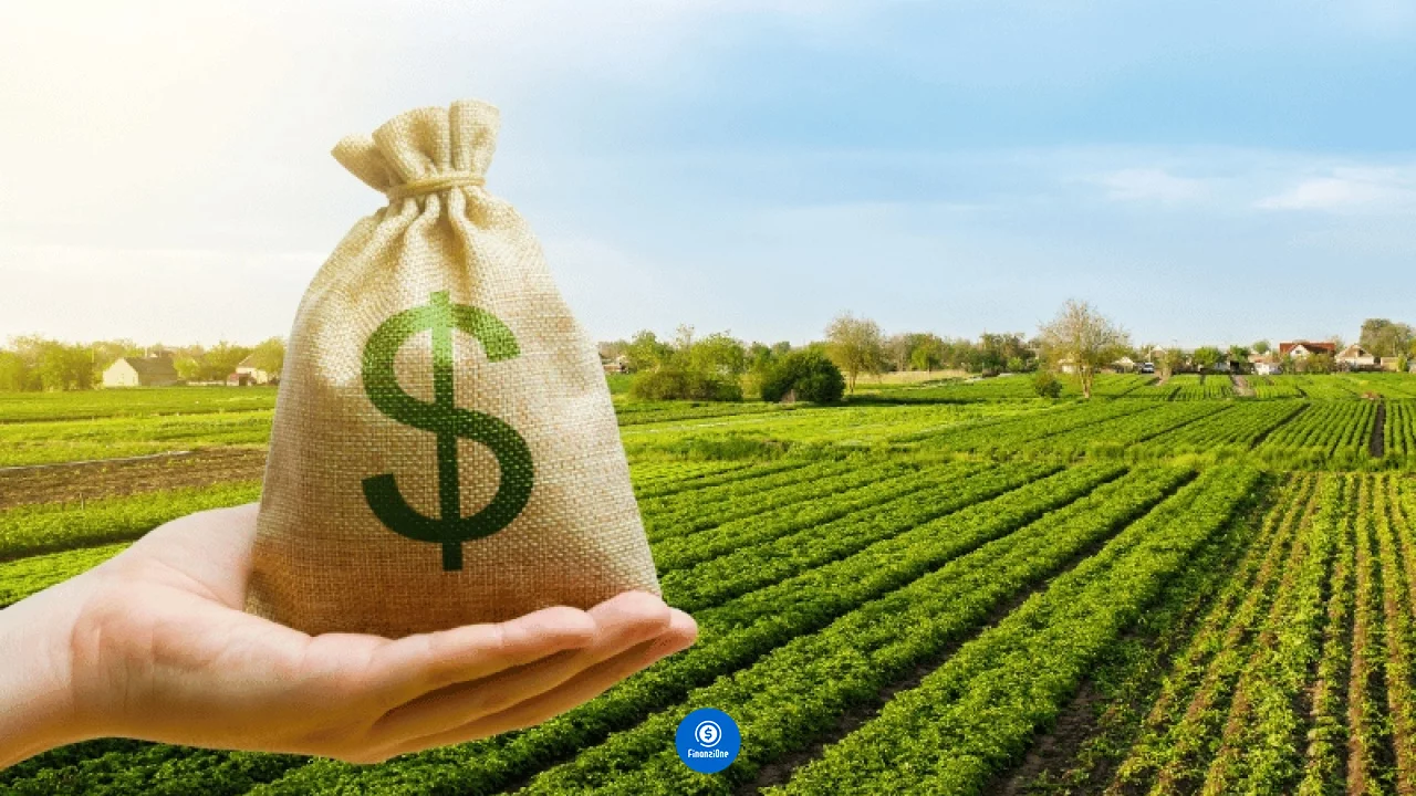 Onde buscar crédito rural? Confira os melhores bancos